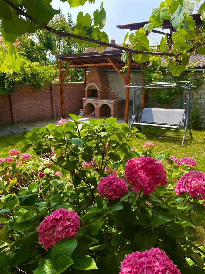 Holiday Home Esku Orşova Eksteriør billede